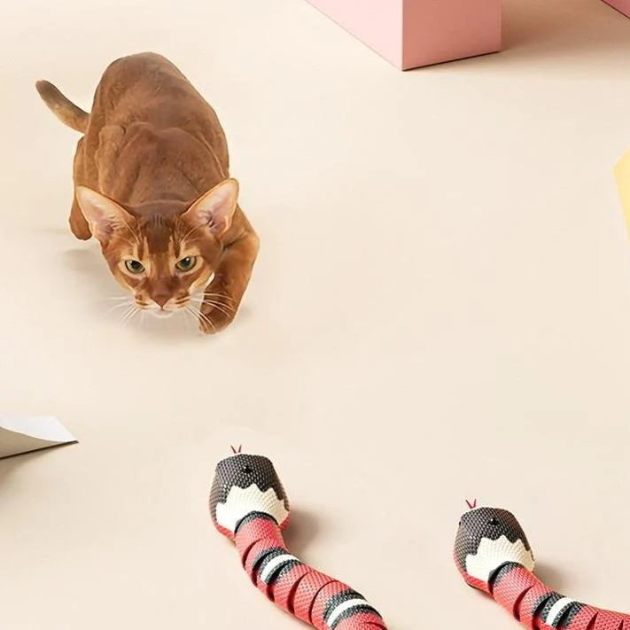 Smart Sensing Snake Toy for Cats